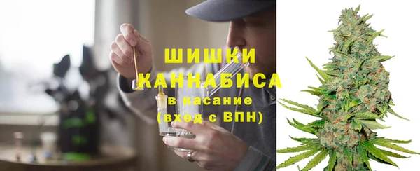 амф Алзамай