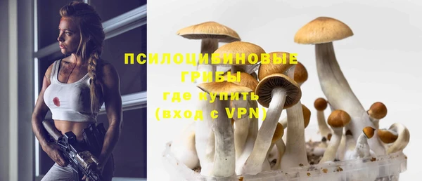 амф Алзамай