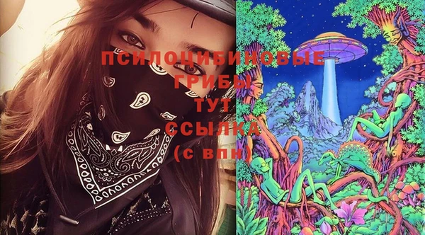 марки lsd Каменка