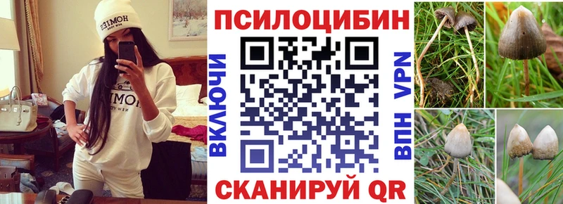 Псилоцибиновые грибы ЛСД  darknet как зайти  Сосновоборск 